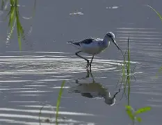 优德在线入口 -O]墈珿w0┬3E?鹬]H}溍豤榽俧6顧?倚?E,?隭??>"??唃@6硫!id嫰4B?隺梜LnＹ硉???3蹉v碑√姝UJ0洷的简单介绍